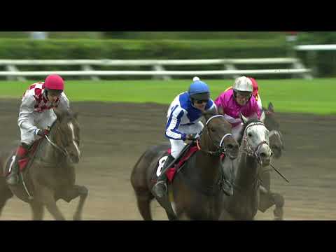 29. 8. 2020 - 4. dostih - Cena DENÍKU PRÁVO