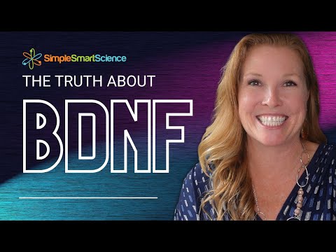 The Truth About BDNF