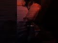 Moon Light Whatsapp Status Emotionl Videos