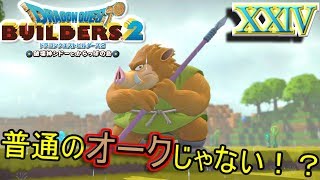 【DQB2】素材島で見つけたオークからただならぬ気配が！？【ドラゴンクエストビルダーズ２】２４
