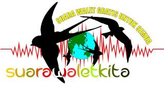 Download lagu Suara Panggil Walet - Pucuk Rimba mp3 Download lagu Suara Panggil Walet - Pucuk Rimba mp3