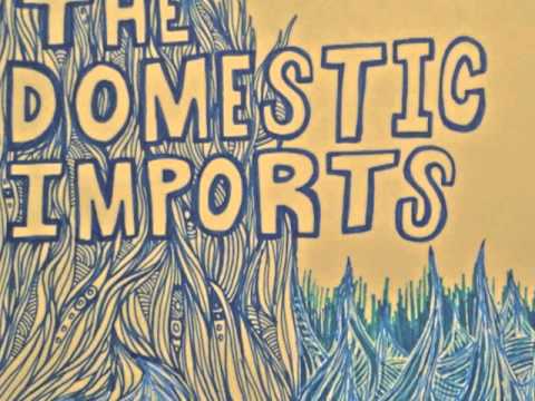 The Domestic Imports - Teach Me