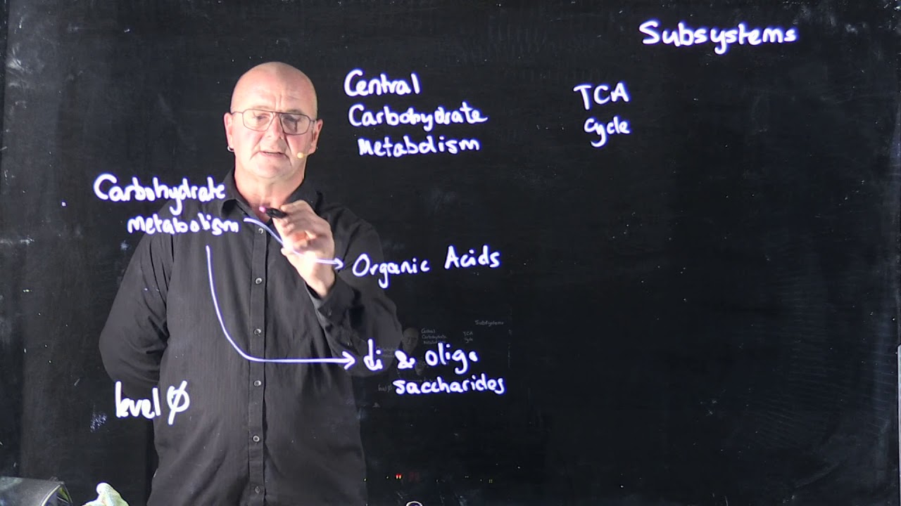 Subsystem Classification