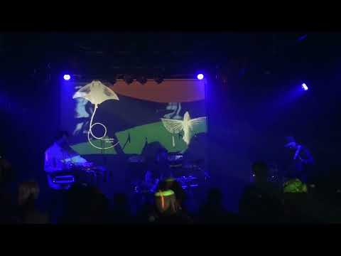 Gala Drop Live at Forma Free Music Impulse Festival - 10-11-2023 Mostovna Nova Gorica SLO