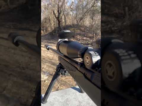 Savage Impulse - Full Review and Ammo Test