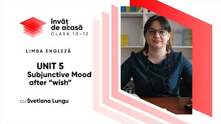 Subjunctive Mood after "wish"