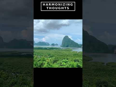 PHANG NGA BAY - SHORT