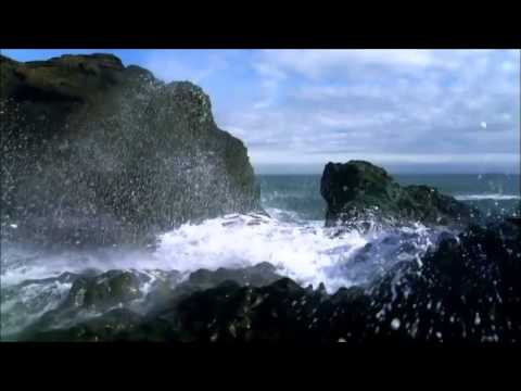 Max Cooper  and Tom Hodge  -Fragments of Self