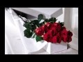 Roses are Red (my love)  by Freddie Fender - 12binlovewith Roses are Red (my love)  by Freddie Fender