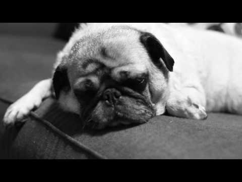 DeuceCon III Reminder Trailer