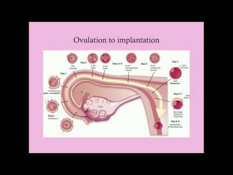 Dr. Sara May, Allergy and Immunology