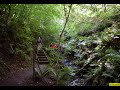 Van Morrison - In The Forest