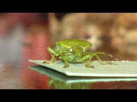 ziemia z kosmosu   lektor pl