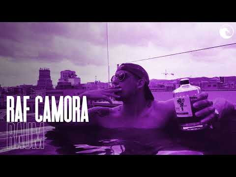 🍇 RAF CAMORA x JAMULE x DARDAN Dancehall Deep House Type beat 2024 | RAUM I