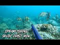 Spearfishing South Coast NSW Winter 4K
