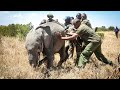 Rama's Rescue | Orphaned Elephant | Sheldrick Trust