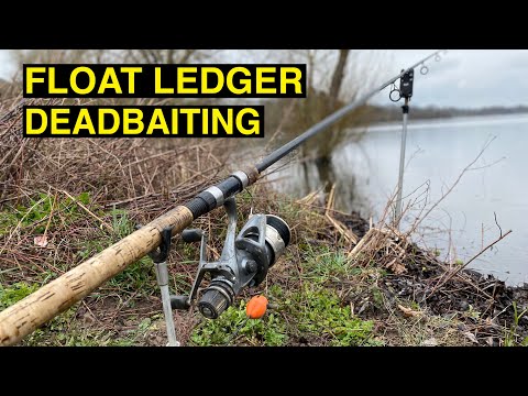 Pike Float Ledger Dead Bait Fishing.. How why & when to use