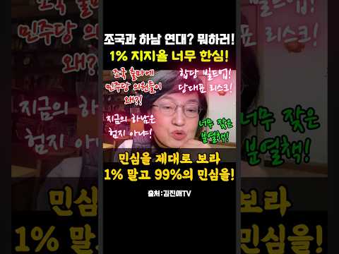 정청래의 '합당을 염두에 둔 조국과의 하남 연대'를 비판한 김진애