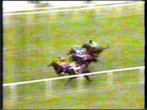 1994 - Newmarket - Cheveley Park Stakes - Gay Gallanta