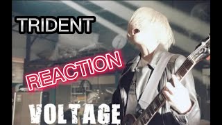 Download lagu TRIDENT VOLTAGE REACTION #guitar #reactionvideo #guitarsolo mp3