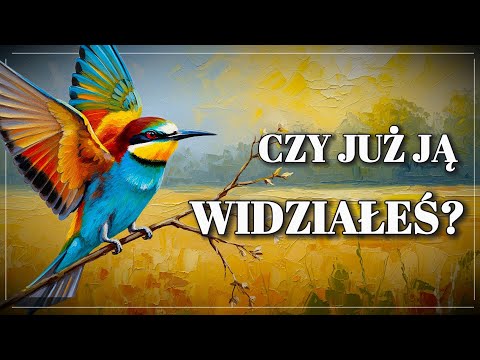 The BEE-EATER is an extraordinary bird and this video will prove it to you!