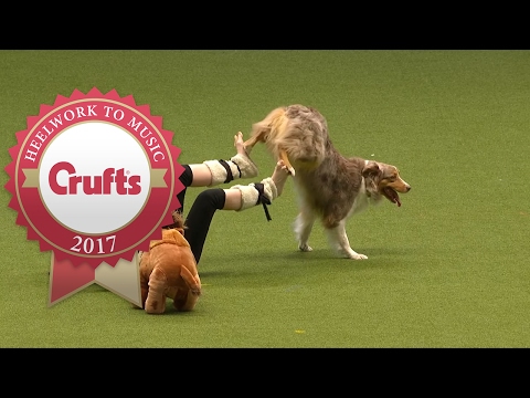 Heelwork To Music - International Freestyle Competition Part 3/3 | Crufts 2017