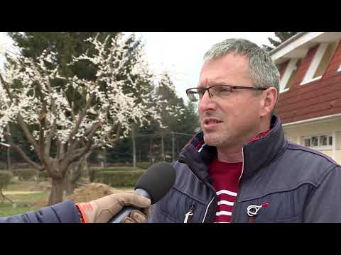 Korszerűsítés a lenti kempingben • 2021