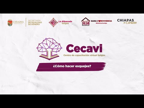 ¿Cómo hacer esquejes?