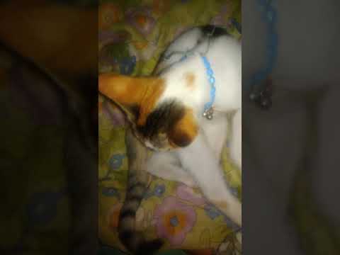 Nazly take sleeping 😴