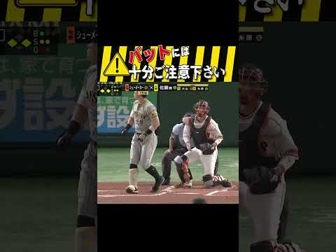 バットには十分ご注意下さい #shorts