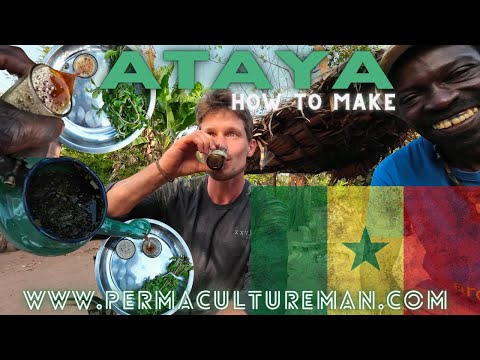 HOW TO COOK ATAYA TEA