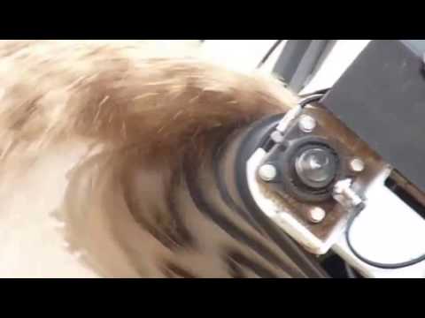 Sensortechnik Optical Belt Scale - Wood Waste - #1