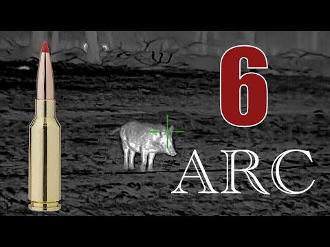 6 ARC Good On Hogs?