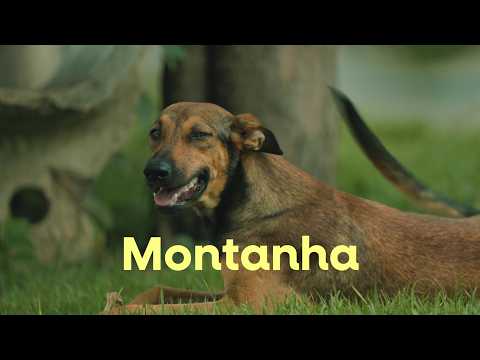 Montanha – Espírito Santo | Cinema Nacional