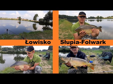 WIELKI KARP na Łowisku Komercyjnym Słupia-Folwark