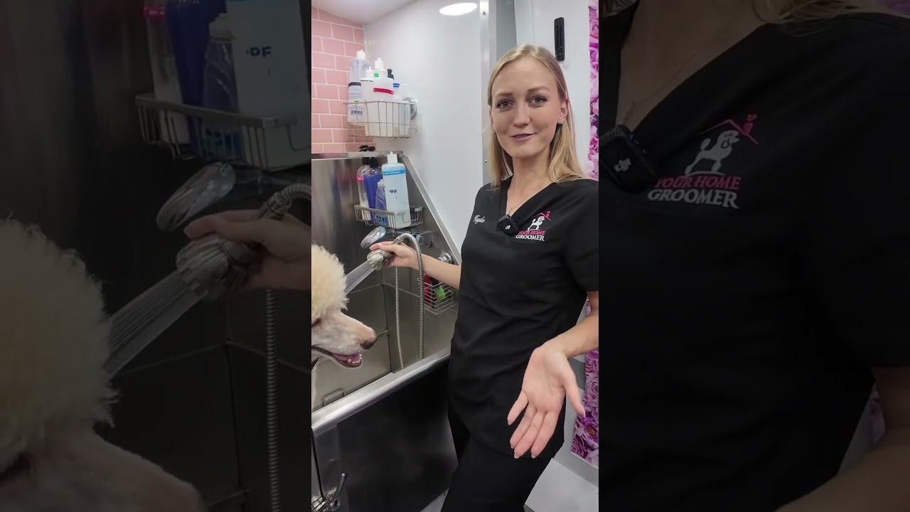 Full Tour of Our Mobile Dog Grooming Van | Luxury Grooming on Wheels