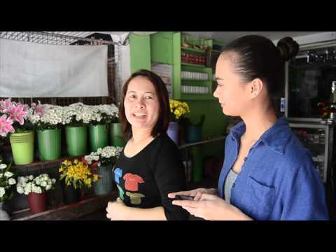 RTVP 2013 Explanatory Report: Flower Business