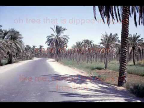 Mamad Naboody Bebini ...