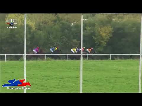 Prva trka Šabac 23.10.2022 GALIPOLJKA