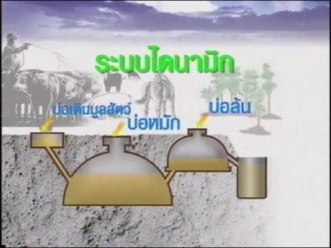 ผลิตภัณฑ์เพิ่มสมาชิก สำหรับรูนแรง