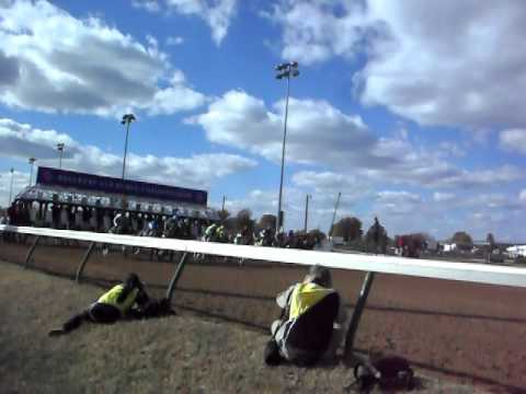 Start of the 2010 Breeders Cup Sprint