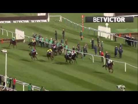 Faugheen The Machine