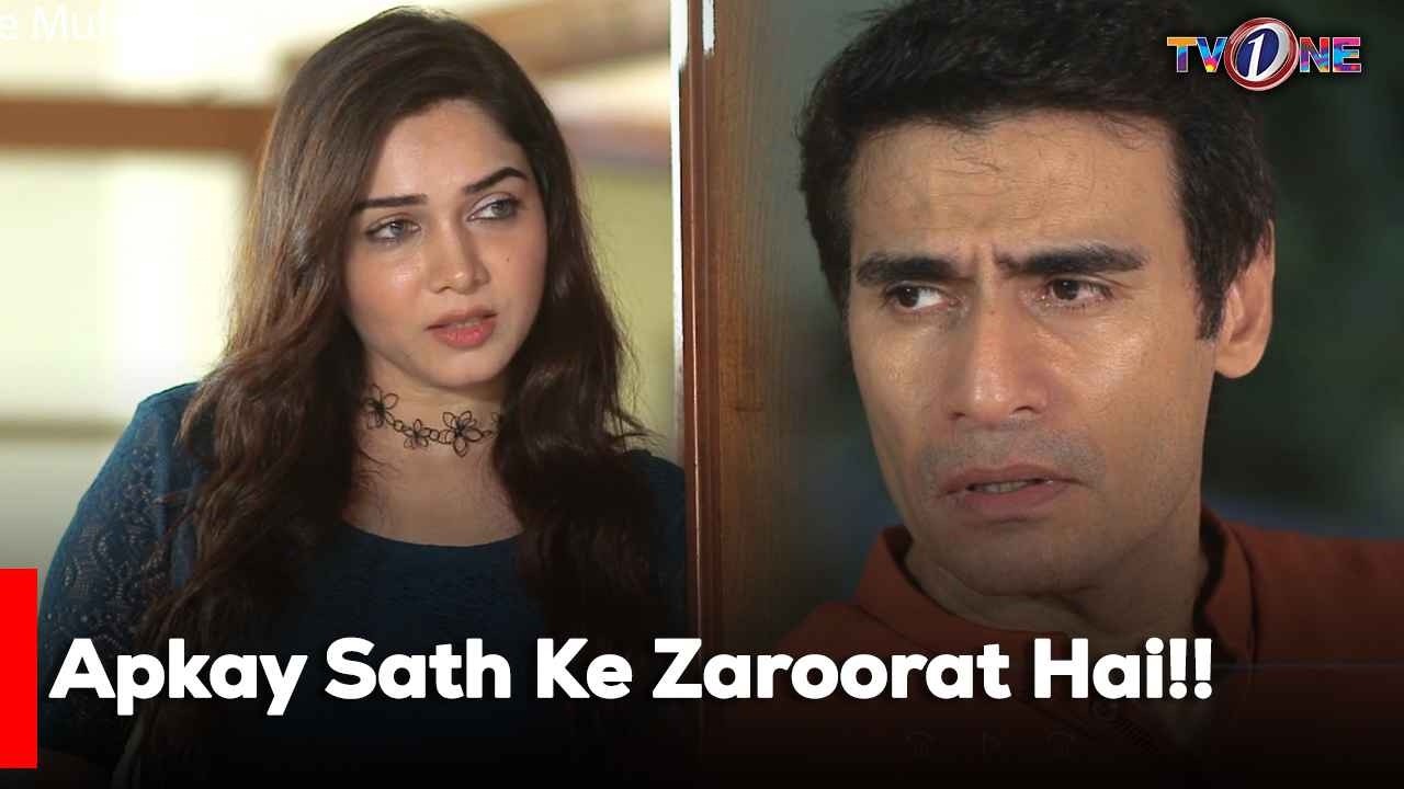Apkay Sath Ke Zaroorat Hai!!  | Best Moments | Fazila Qazi | Shahroze Sabzwari |