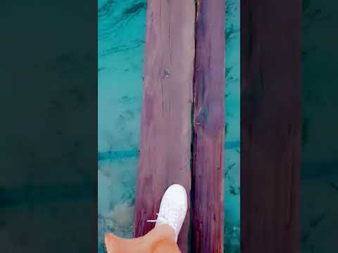 #wood #woodbridge #rabab #music #nature #pakistan