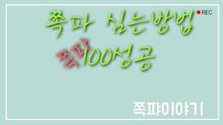 #쪽파 심는방법 #쪽파굵게키우기