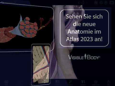 Atlas der Humananatomie 2023 | Eine vollständige 3D-Referenz!