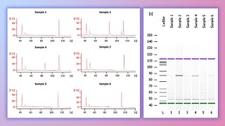 Forensic DNA Profiling, Part I