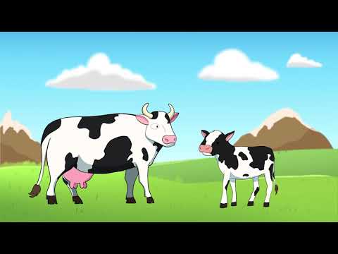 , title : 'Como se produce la Leche de Vaca 🥛 Video didáctico explicativo 🍼 Aproval Capitulo3'