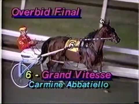 1986 Meadowlands BREE'S BRIEF Overbid Final John Campbell