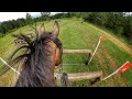 Helmet Cam Riot Gear 2021 Area III Intermediate Horse Championships